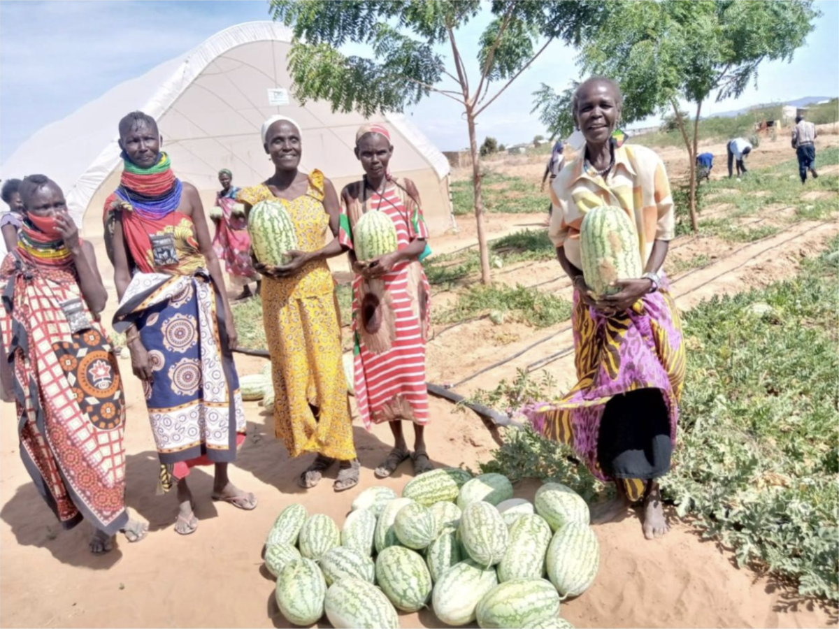 five Kenyan women with watermelons at a farm