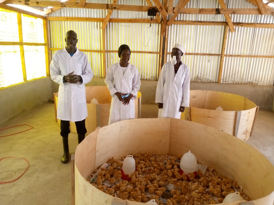 kenya poultry project sponsor a chicken